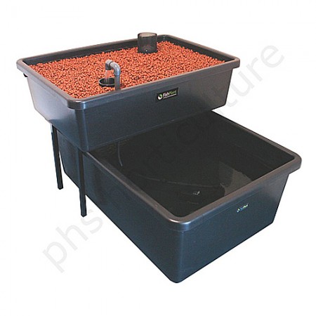 Aquaponics