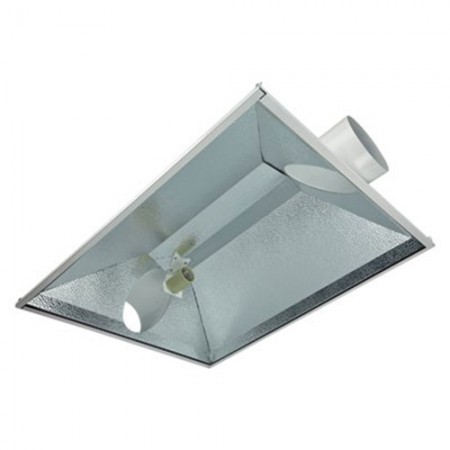 Lighting & Accessories