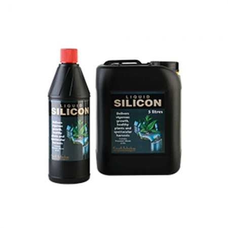 Silicon Supplements